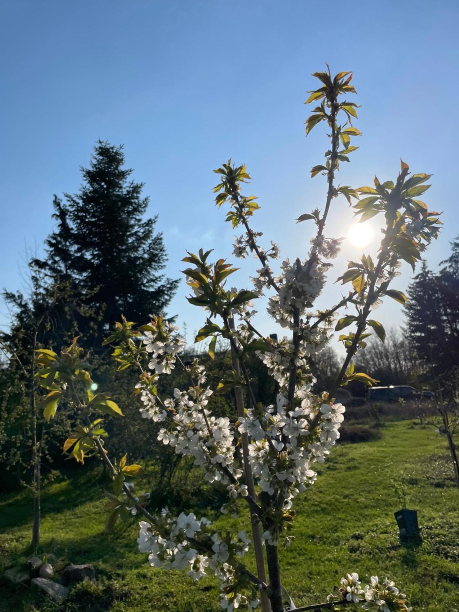 Eichenhof Hotel Garni Groß Köris Exteriér fotografie